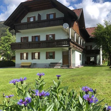 Апартаменты Haus Schuster Кирхбах Экстерьер фото